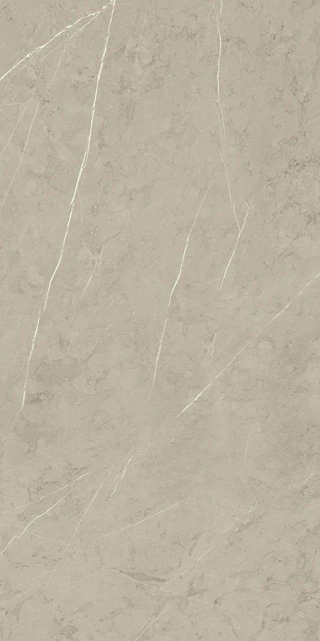 PIASENTINA SILVER PO 24X48 R