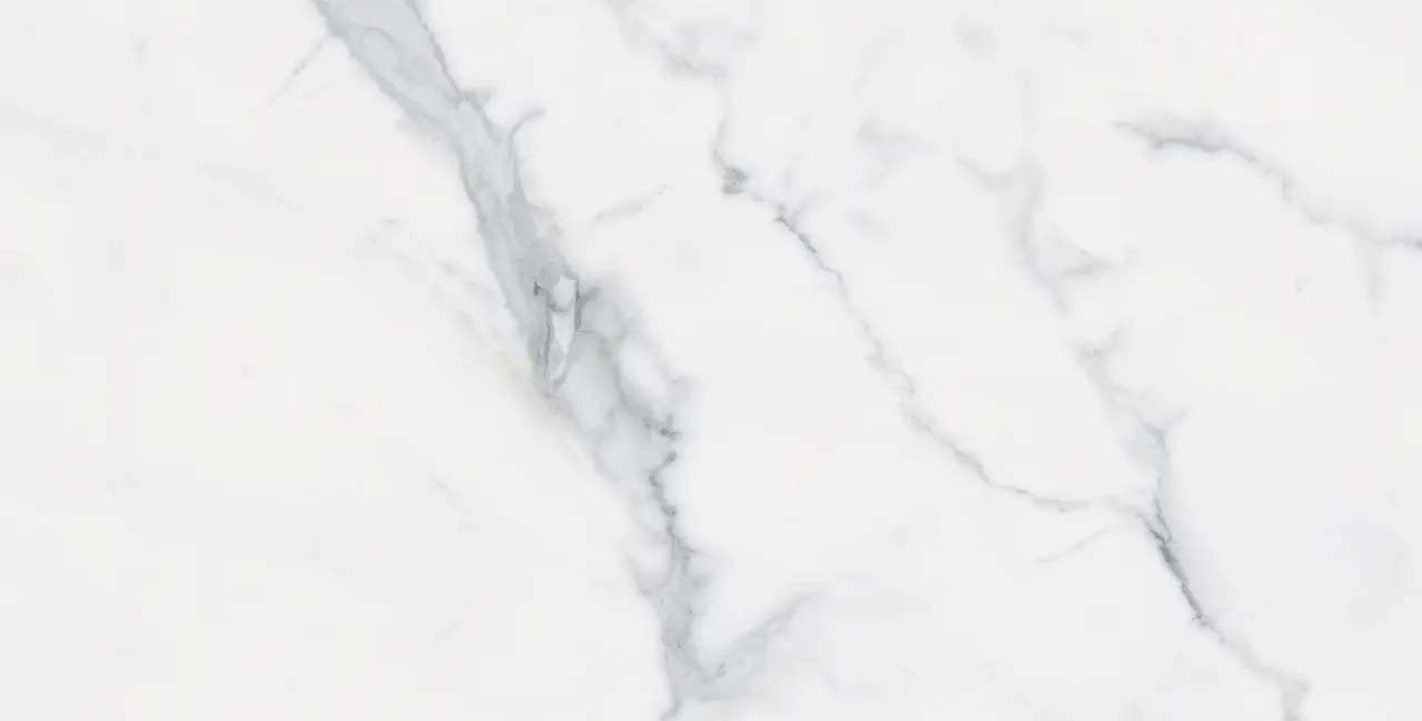 12X24 BIANCO VENATINO POLISHED